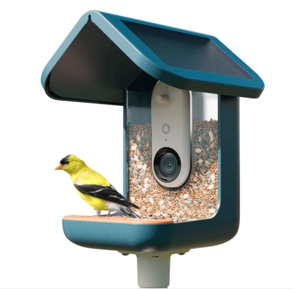 Bird Buddy  • Smart Bird Feeder PRO SOLAR -chytré ptačí krmítko s vestavěnou kamerou
